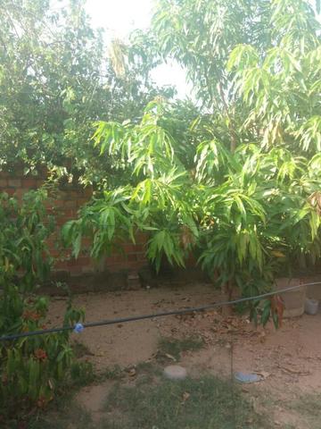 Vendo casa residencial francisca trindade