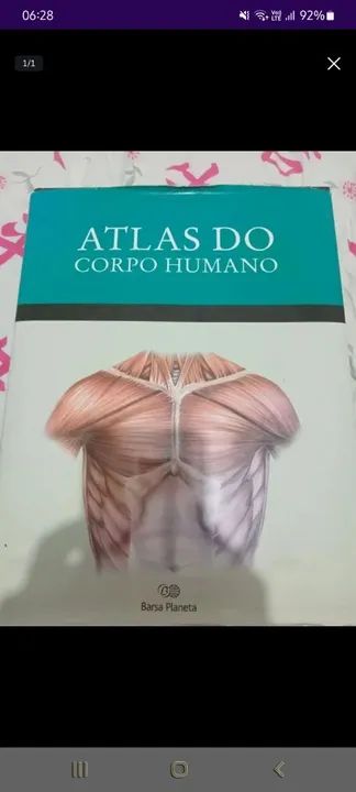 Atlas Do Corpo Humano Capa Dura R Livros E Revistas Brotas