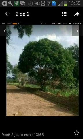 É pra vender logo terreno no vila acre