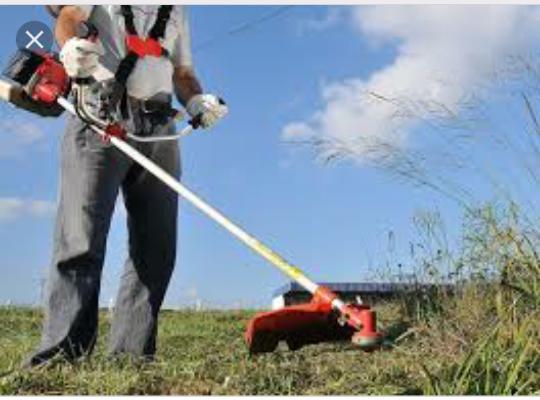 Trabalho com roçagem. limpo quintais e terrenos