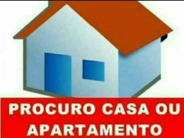 Procuro ap 2/4 capim macio ou candelária