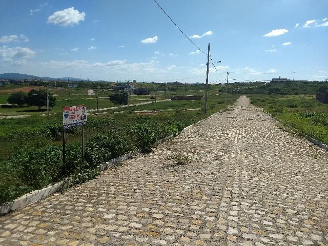 Repasse de Lote na Estrada do Amor