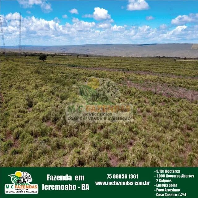 Fazenda à Venda em Jeremoabo BA 3 181 Hectares 1 000 Hectares