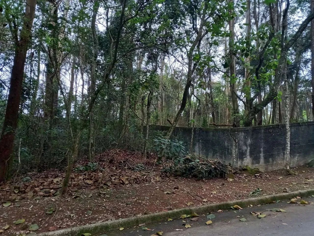 Lote Em Condom Nio Em Rua Renoir Granja Viana Cotia Sp Terrenos