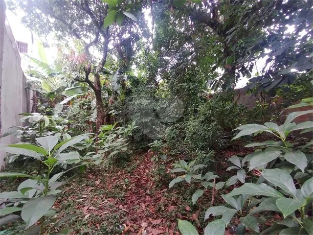 Terreno à venda em Vila Carmosina SP Terrenos sítios e fazendas