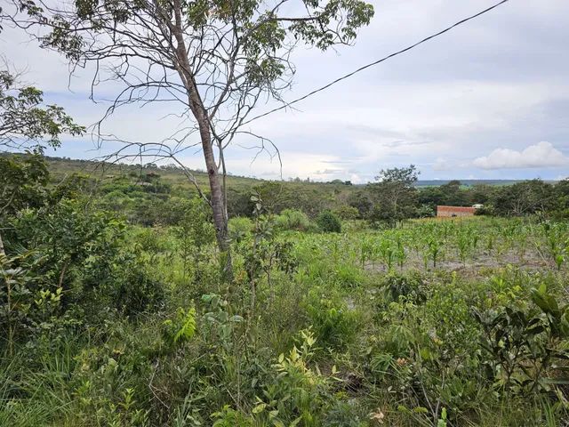 Excelente Chácara de 2 Hectares no Quintas do Maranhão PROX ao CPRV