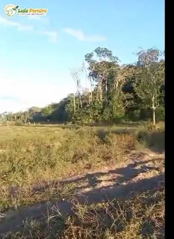 Fazenda Venda No Alto Parna Ba Ma Hectares Dupla Aptid O