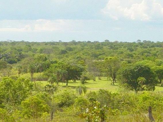 Vendo fazenda em Cristalândia