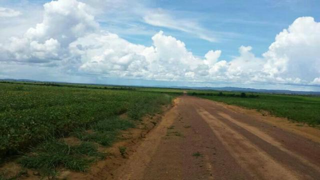 Fazenda em Mato Grosso