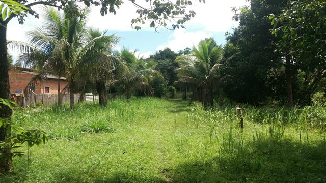 Vendo terreno ramal do canil medindo 12x50