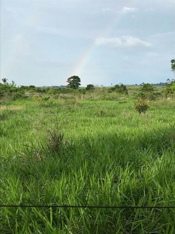 Fazenda boa, toda no pasto, boa para criação de gado!