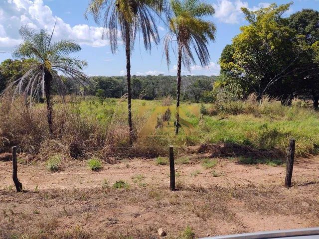 Fazenda Alqueires No Brasil