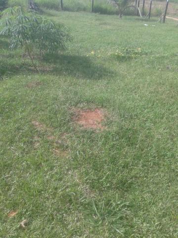 Vendo terreno