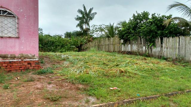 Vendo terreno em Brasiléia medindo 12x30 no bairro jose peixoto