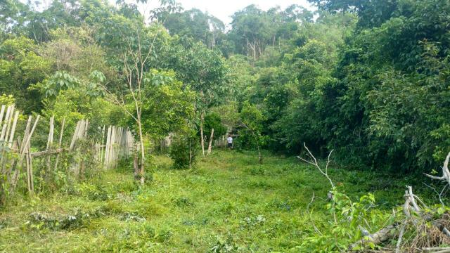 Terreno na comunidade vila nova próximo tirar ressaca