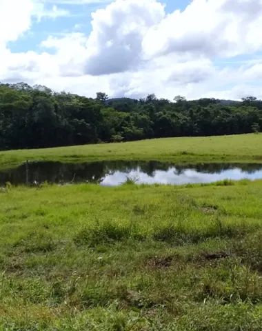 Oportunidade Vende Se Uma Excelente Fazenda De Alqueires