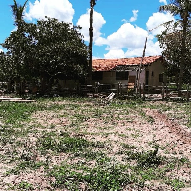 Fazenda Sítio Chácara para venda possui metros quadrados 4 quartos