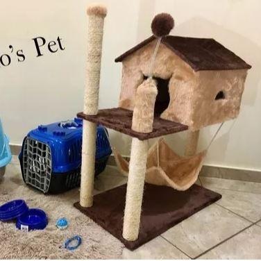 Aranhador de Gato + Caixa de transporte