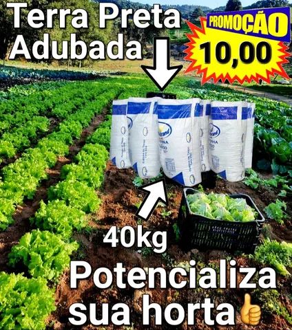 Terra Preta Peneirada E Adubada Substrato Vegetal E Carv O