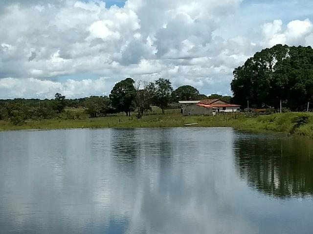 Fazenda Pium Tocantins