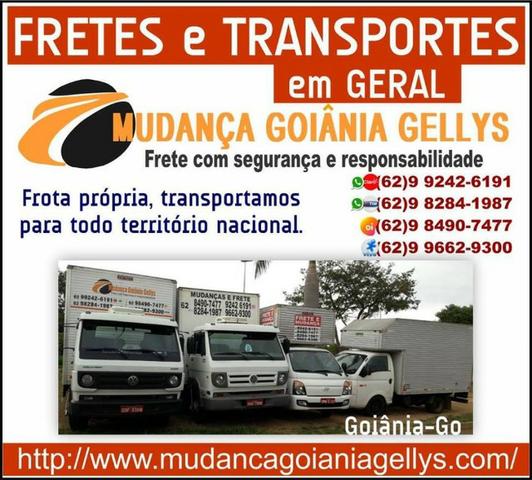 Mudanças Gellys (62)9-99242-6191