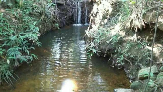Fazenda Pindorama Tocantins
