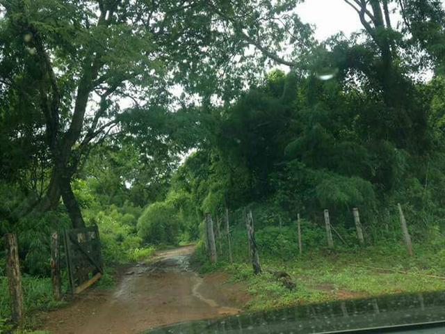 Fazenda 100 Alqueires Porto Nacional Tocantins
