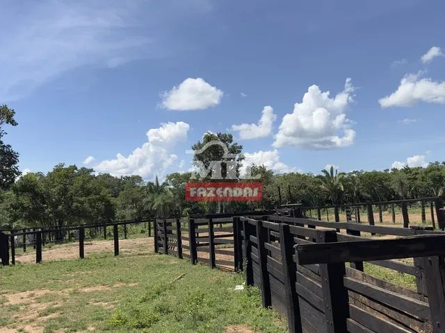 Fazenda de 106 alqueires 513 hectares em Uruaçu GO Terrenos sítios