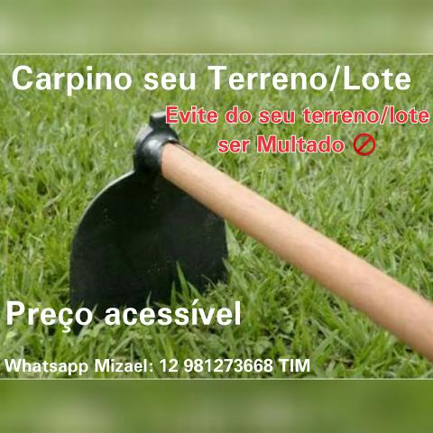 Limpo Carpino Lote Terreno