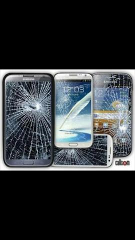 Manutenção celular