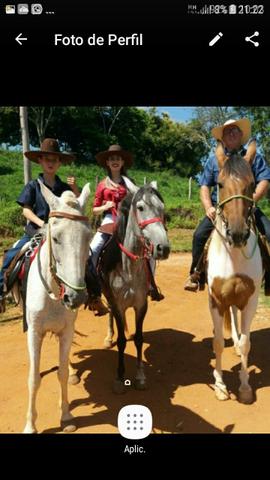 Égua campolina