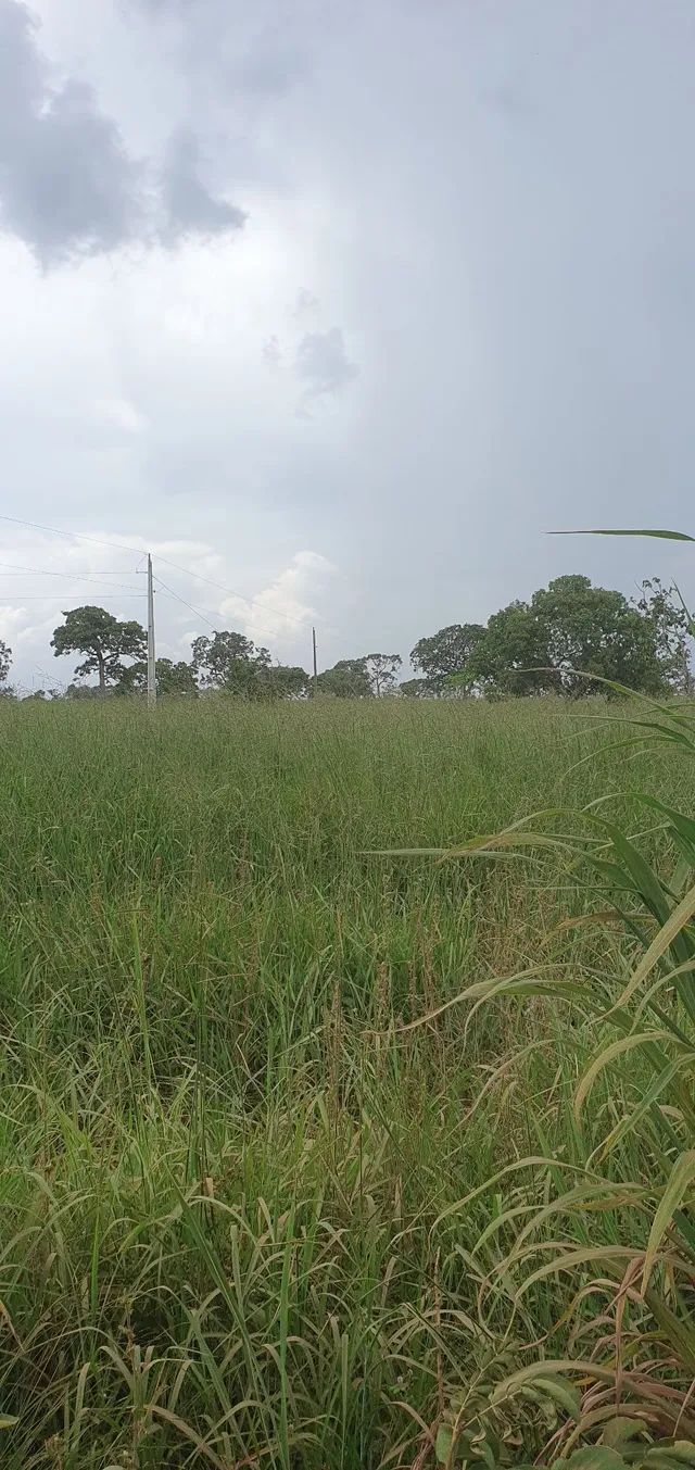 Alqueires Dispon Vel Para Aluguel Em Nova Fatima Terrenos S Tios E