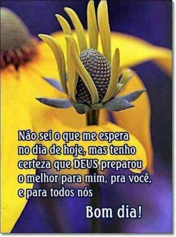 Sou;Faxineira, doméstica e baba