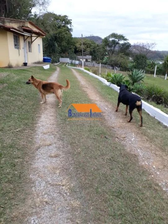 S Tio Na Zona Urbana De Pedro Leopoldo Mg Terrenos S Tios E Fazendas