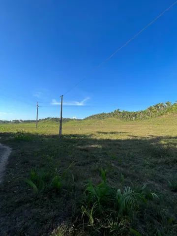 Fazenda Em Itapecuru Hectares Terrenos S Tios E Fazendas