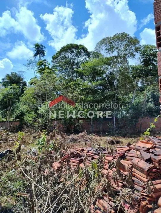 Lote Em Avenida Da Vivenda Verde Tarum A U Manaus Am Terrenos