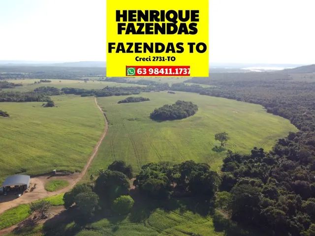 Fazenda Toda Plana Alqueires Sitio Plantando Ha Barro Preto E