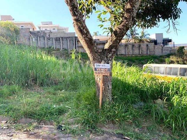 Terreno Bosque Dos Eucaliptos No Brasil