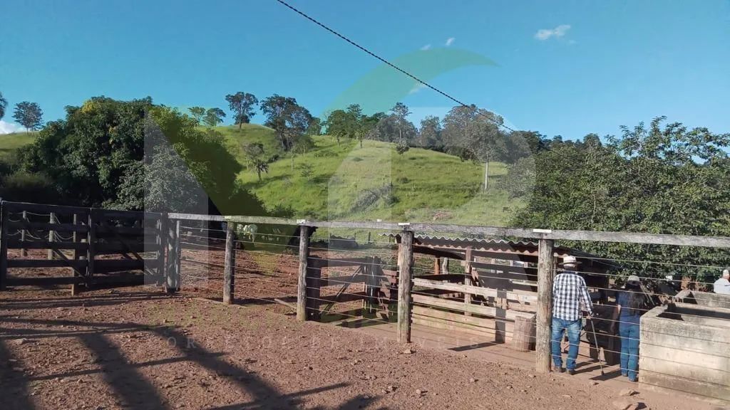 Fazenda Alqueires De Cultura De Bacuri Em Buriti Alegre Go