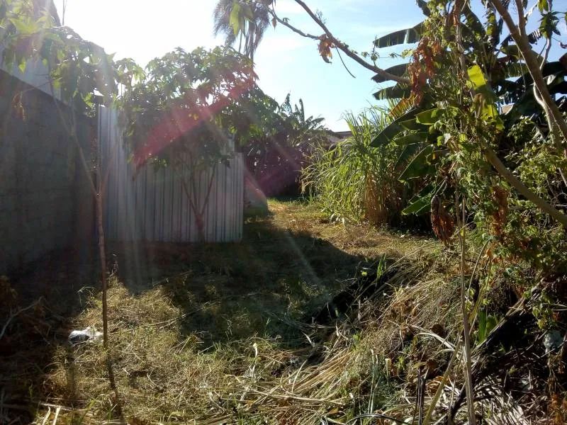 Terreno De M Rgi A Poucos Minutos Do Centro De Campo Grande