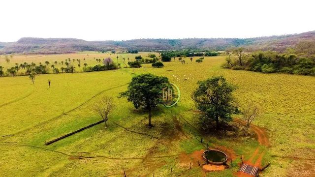 Fazenda Venda M Por R Campina Verde