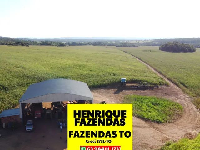 Fazenda plantando a venda 70 alqueires 135 ha de plantação toda barro