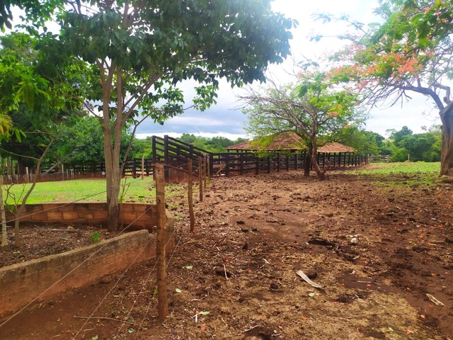 Fazenda de 50 alqueires em Jaupaci GO Terrenos sítios e fazendas