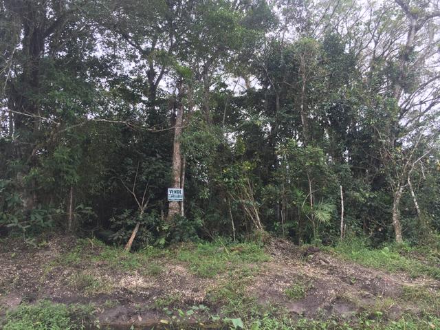 Terreno no Bairro Costeira em Barra do Sul