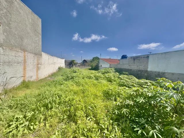 Terreno para Venda em São José dos Pinhais Borda do Campo Terrenos