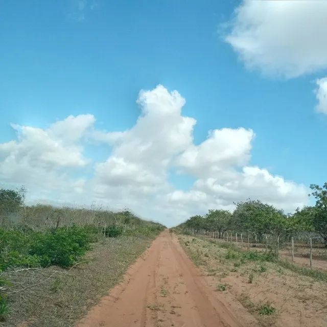 Fazenda 497 hectares na região de João Câmara terra grande