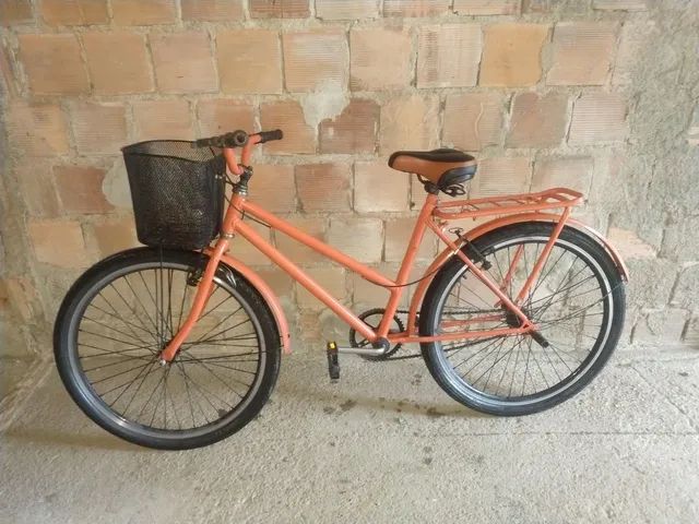 Bicicleta Poti Aro An Ncios Na Olx Brasil