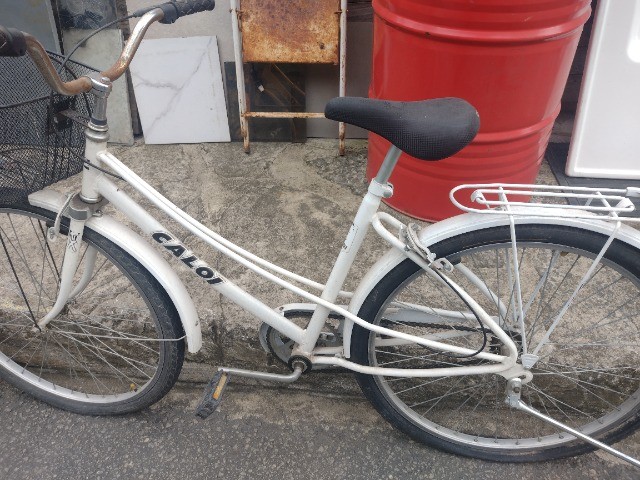 Topo 51 Imagem Bicicleta Ceci Rosa Antiga Br Thptnganamst Edu Vn