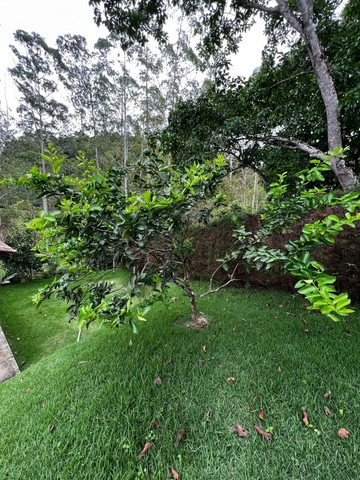 Linda Casa Linear Em Pedra Branca Domingos Martins PORTEIRA FECHADA