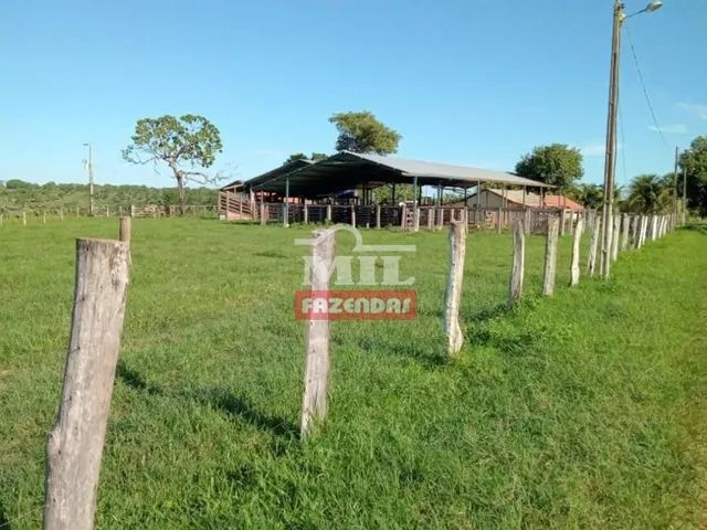 Fazenda 150 alqueires 726 hectares Rio Sono TO Terrenos sítios